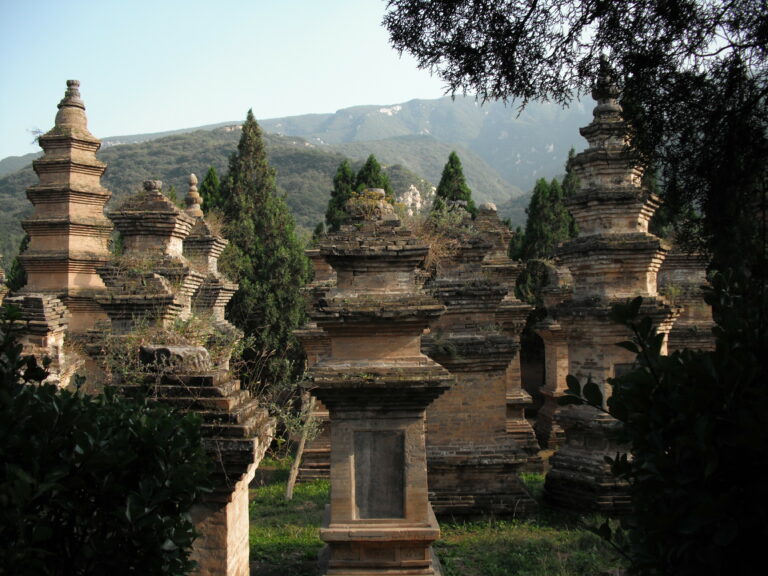 Shaolin_Temple_Pagoda_Forest