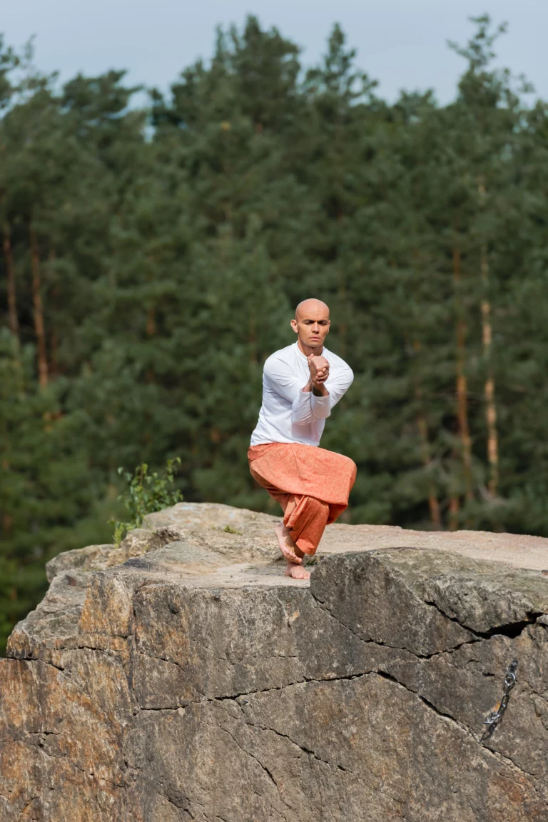 shaolin kung fu 5