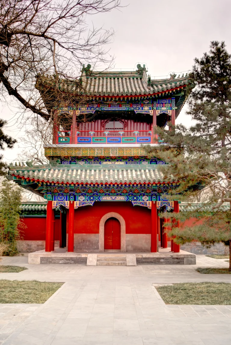 shaolin kung fu 8