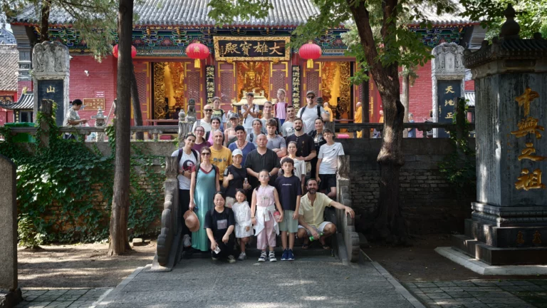 shaolin nomad 7